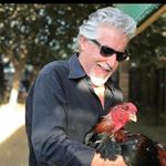 Profile Picture of Rick Williams (@clic6947) on Instagram