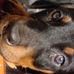 Profile Picture of Paul Panter (@paul.panter.777) on Facebook