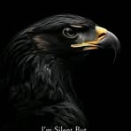 Profile Picture of Terry Khan (@Terry-Khan) on Facebook