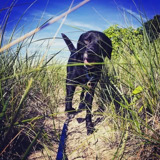 Profile Picture of Matt (@matthewhein) on Instagram