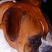 Profile Picture of Debbie Unger (@debbie.unger.731) on Facebook