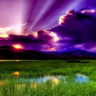 Profile Picture of Lisa Lebron (@LisaLebron7) on Twitter