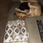 Profile Picture of David Nisonger (@david.nisonger.942) on Facebook