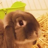 Profile Picture of Brock Andrews (@@oxybok) on Tiktok