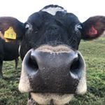 Profile Picture of Nathan Parry (@_parrydise_) on Instagram