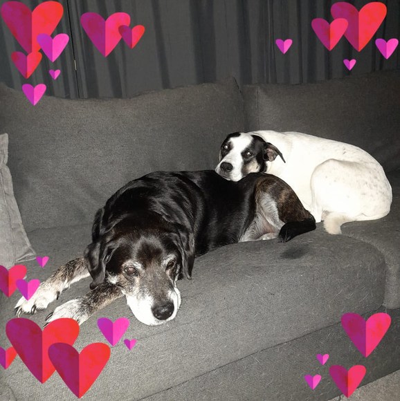 Colleen Pedder - Poshmark Profile Picture of Colleen Pedder (@colleenpedder) on Poshmark