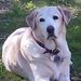 Profile Picture of Jacob Moskowitz (@jacobm1070) on Pinterest