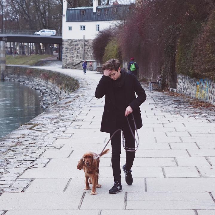 Profile Picture of David Kemper (@@kemperdavid) on Tiktok