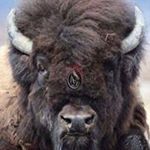 Profile Picture of Joan Watts (@cecilherbert) on Instagram