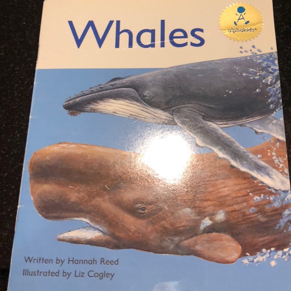 Profile Picture of Steve Mauceri (@mauceris) on Poshmark