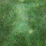 Profile Picture of Thomas Chenel (@totochenel) on Instagram