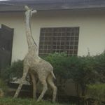 Profile Picture of Paul Cosmas (@paul.cosmas.3956) on Instagram