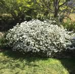 Profile Picture of Jeanne Lempka (@Jeanne-Lempka) on Facebook