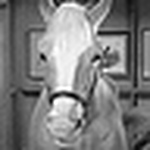 Profile Picture of David Easson (@davideasson) on Flickr