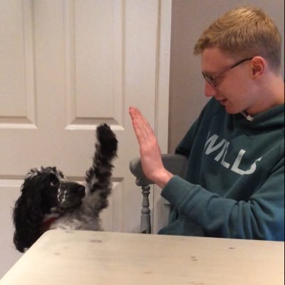 Profile Picture of Peter Beck (@pbeck_11) on Twitter