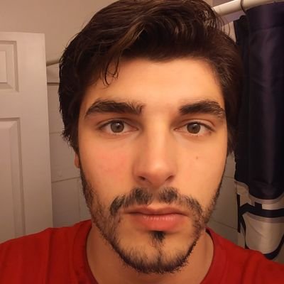 Profile Picture of David Salkowski (@ikswoklaS) on Twitter