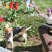Profile Picture of Gloria Holland (@pritchettgloria) on Pinterest