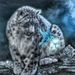 Profile Picture of amanda tindle (@tiddles99) on Pinterest