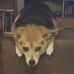 Profile Picture of Bobby Ray Burch (@bobby.r.burch) on Facebook
