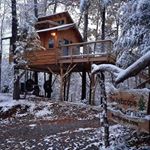 Profile Picture of David A Blier (@escaperentals) on Instagram