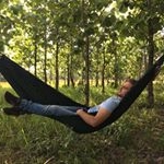 Profile Picture of Simon Levy (@simonlevym) on Instagram
