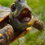 Profile Picture of Jenner jones-orrell (@jdawg2174) on Instagram