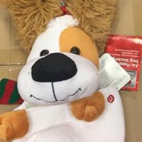 Profile Picture of Lori Klein (@lori-klein-16) on Quora