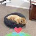 Profile Picture of Jean Timms (@jean.timms.169) on Facebook