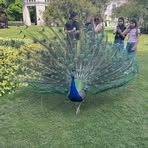 Profile Picture of Michał Barański (@Michał-Barański) on Facebook