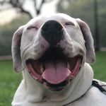 Profile Picture of Hillery Delmanowski (@hdelmanowski) on Instagram
