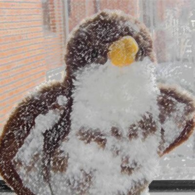 Profile Picture of Dan Watrous (@DanWatrous) on Twitter
