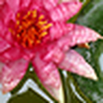 Profile Picture of the1mouse (@the1mouse) on Flickr