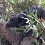 D Copely - Youtube Profile Picture of D Copely (@dcopely8111) on Youtube