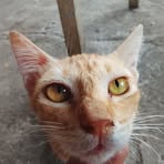 Profile Picture of Edward Spring (@Edward-Spring) on Facebook