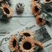 Profile Picture of Alexa Macklin (@macklinalexa) on Pinterest