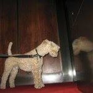 Profile Picture of Michael Levine (@michael.levine.1829) on Myspace