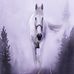 Profile Picture of Desiree Hasenbank (@desiree.hasenbank.54) on Facebook