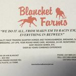 Profile Picture of kim blanchet (@blanchetkim) on Instagram