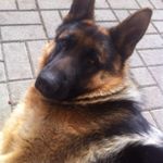Profile Picture of Paul Kämpfer (@paul_.2345) on Instagram