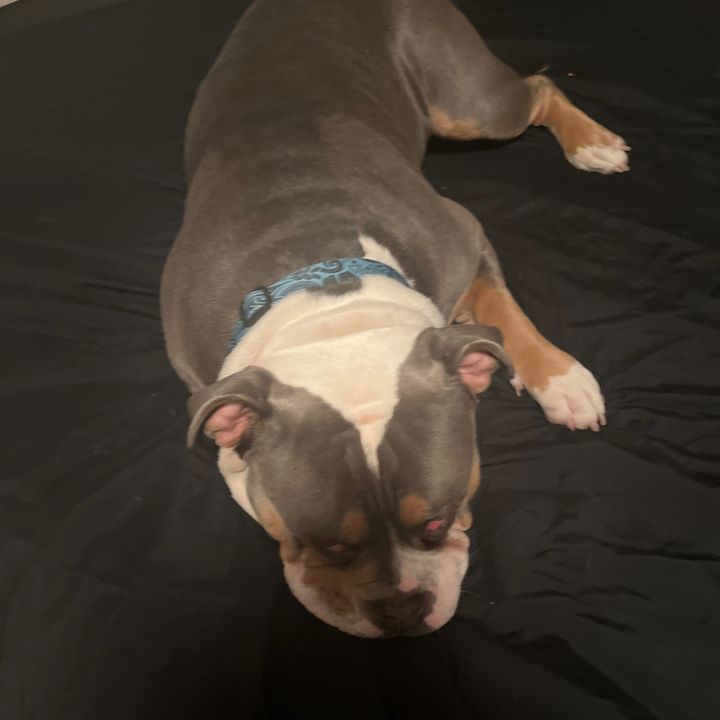 Profile Picture of Nicholas_urdak (@nicholas_urdak) on Tiktok