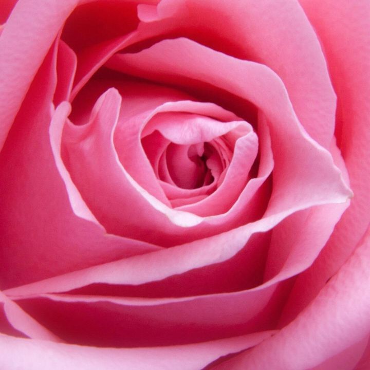 Profile Picture of Manuela (@amador_manuela) on Tiktok