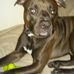 Profile Picture of Bobette Jackson (@bobette.jackson.14) on Facebook