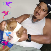 Profile Picture of Michael Rodas (@MichaelRodas-o6s) on Youtube