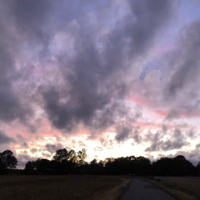 Profile Picture of Daron Wilson (@DaronWilson20) on Twitter