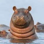 Profile Picture of Alvin Zhao (@dtf_lenny) on Instagram