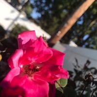 Profile Picture of Emily Pelc (@emily-pelc-1) on Quora