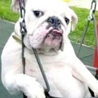 Profile Picture of Richard (@Ricky_waid21) on Twitter