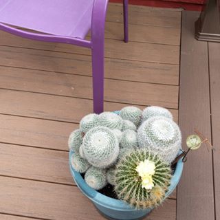 Profile Picture of Marilyn Nord (@marilyn.nord.33) on Facebook