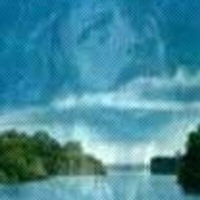 Profile Picture of Patti Baxter (@SimplifywithPat) on Twitter