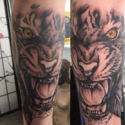 Profile Picture of Connor (@m12_don) on Twitter